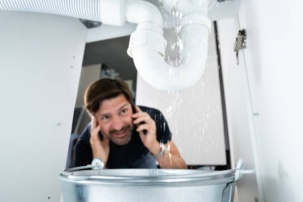 Best Commercial Plumbing Services  in Bourbonnais, IL